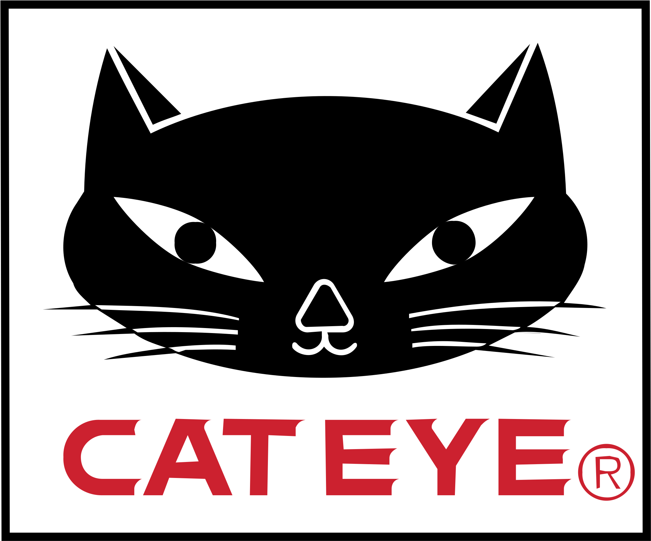 Cateye Bikeary Bicycle Lifestyle