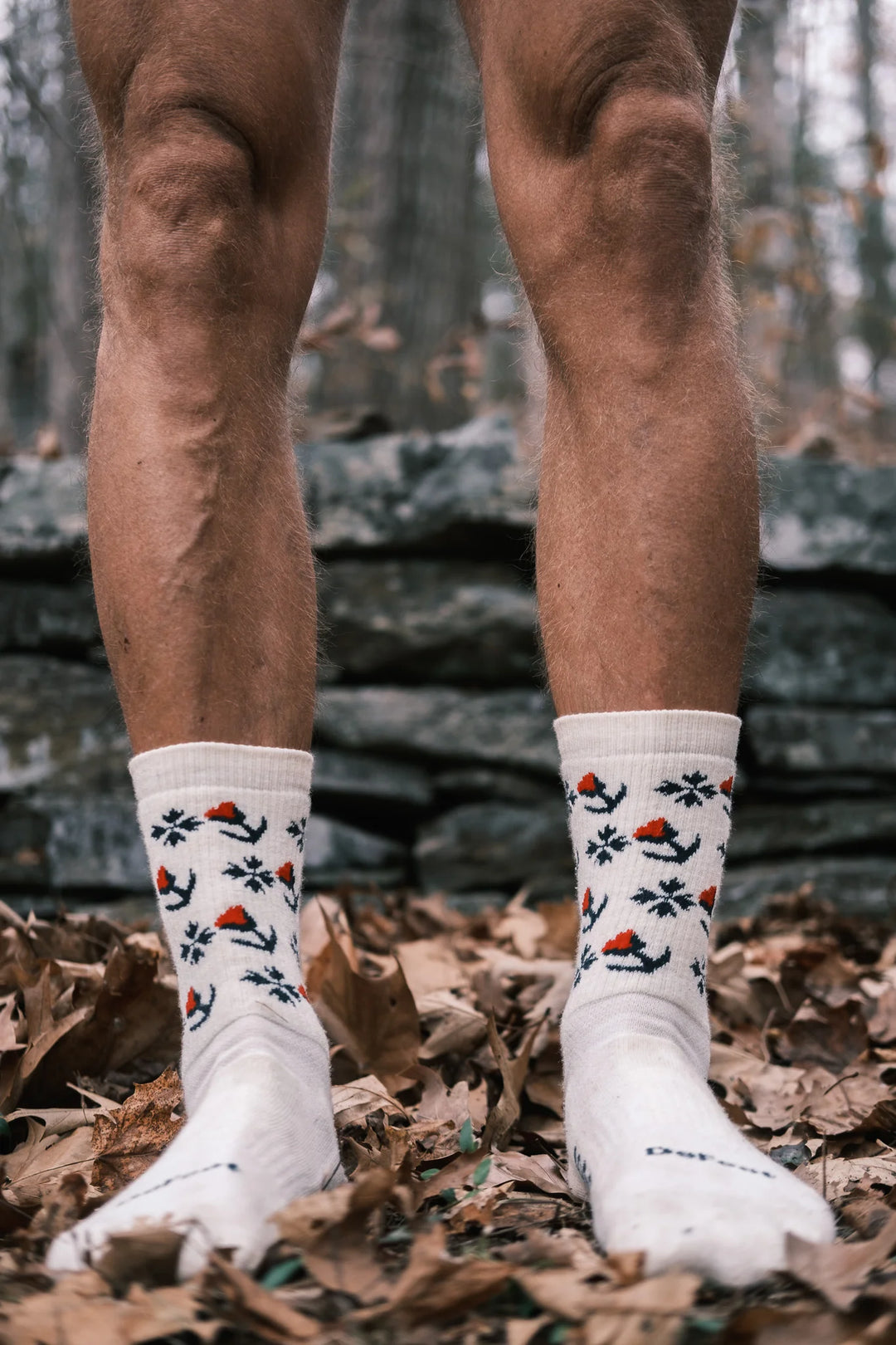 RON's BIKES LaRon wool socks