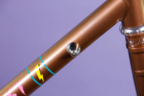 Blue Lug Downtube Shift Boss Cover