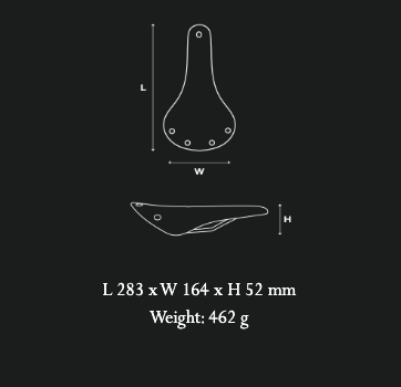 Brooks Cambium C17 Special Recycled Nylon