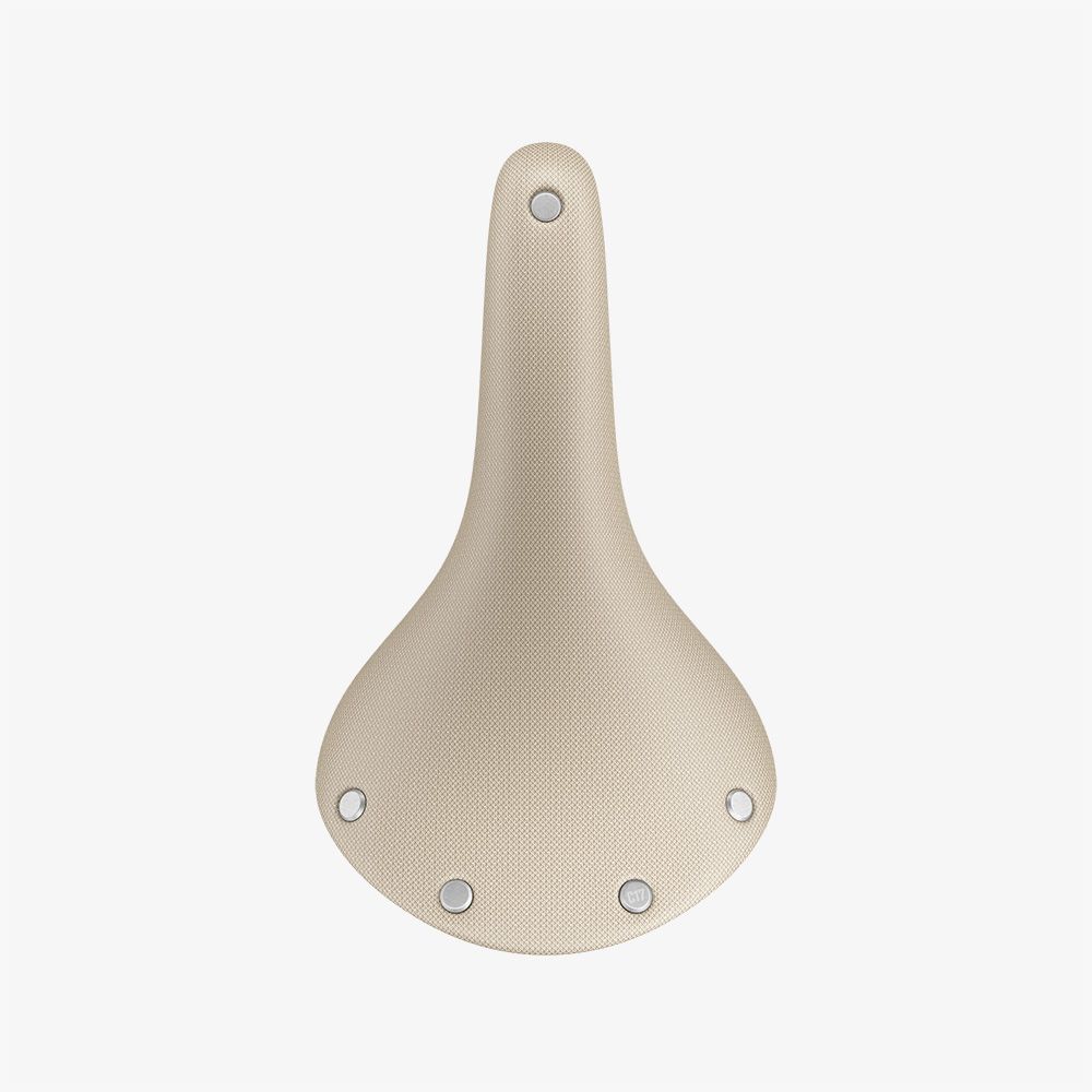 Brooks Cambium C17 Special Recycled Nylon