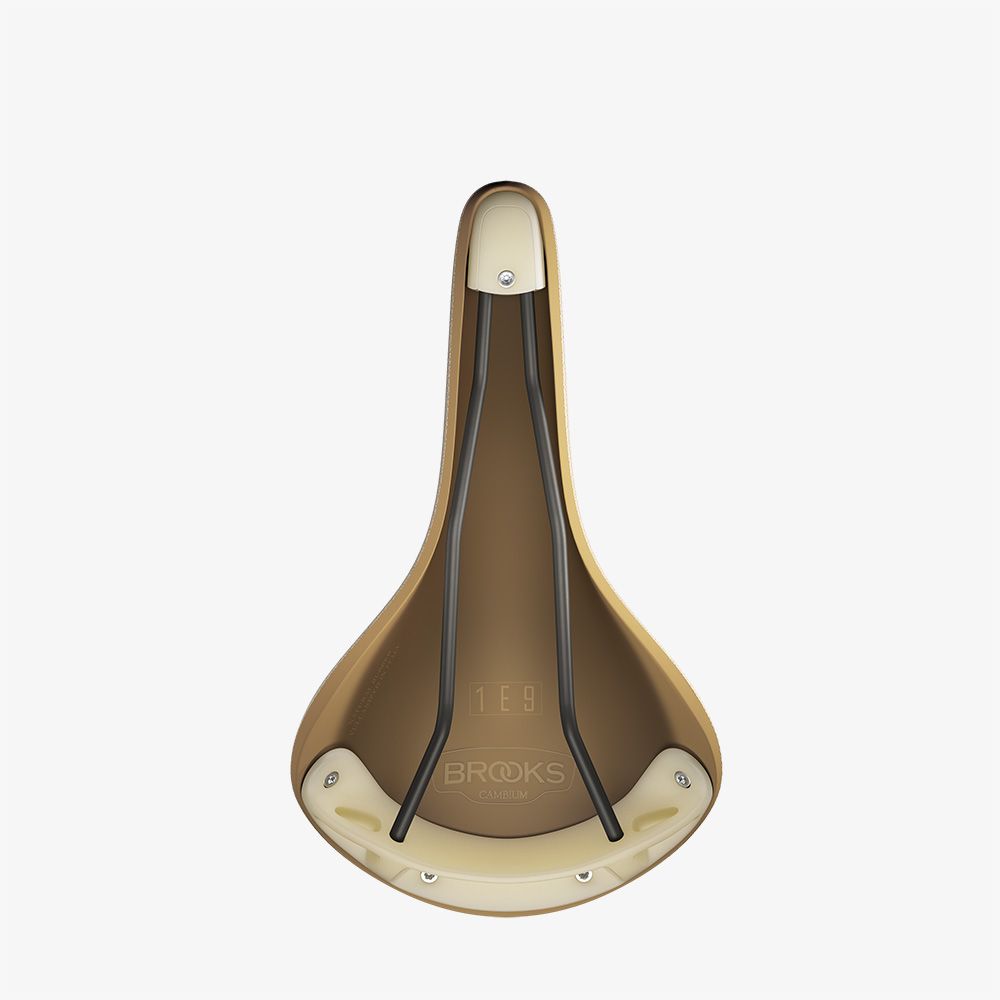 Brooks Cambium C17 Special Recycled Nylon