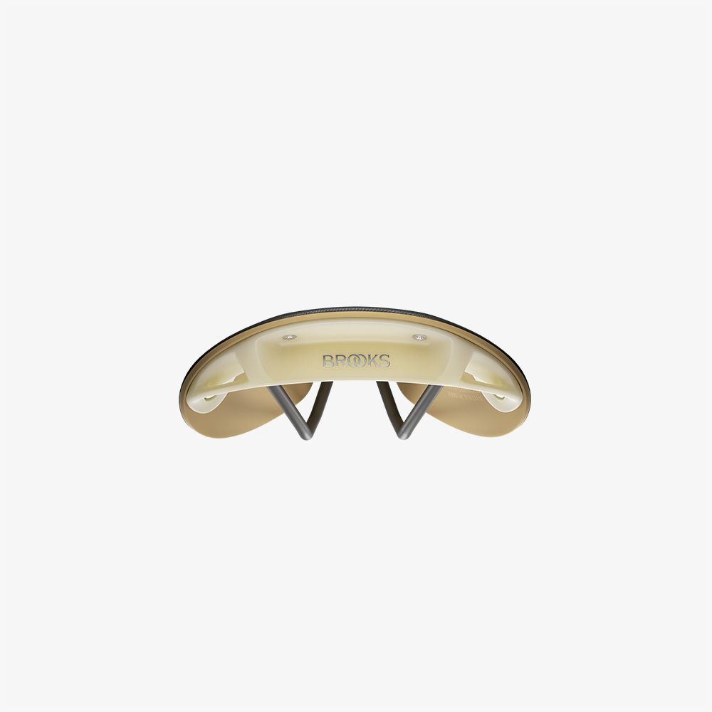 Brooks Cambium C17 Special Recycled Nylon