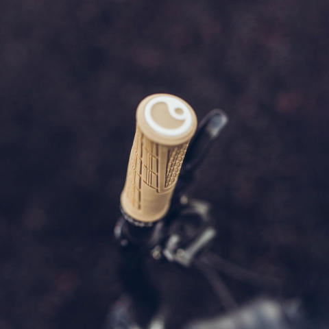 Ergon GE1 Evo MTB Grips