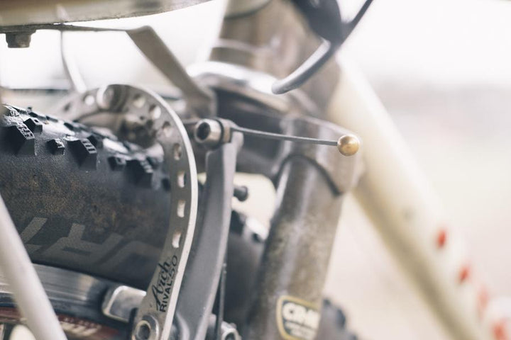 FORAGER CYCLES Cable Cherries