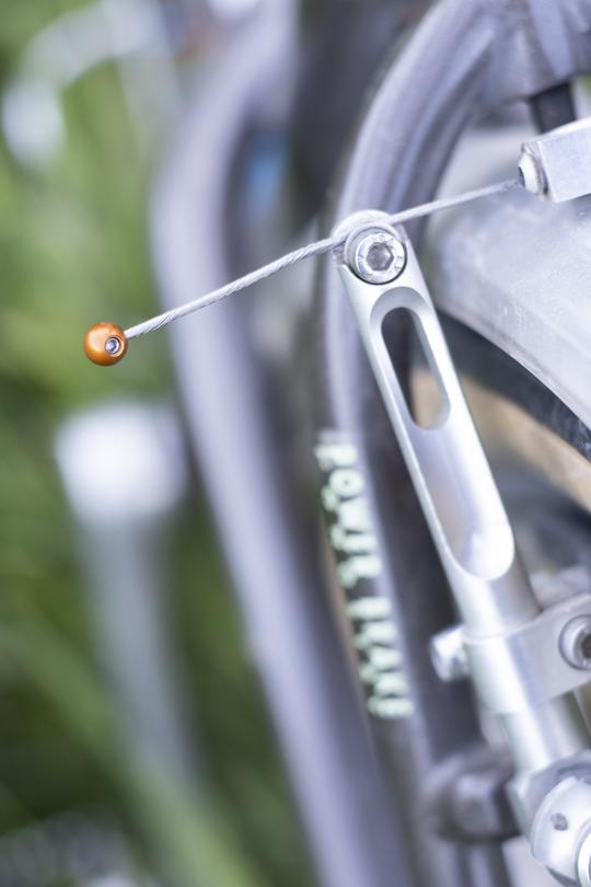 FORAGER CYCLES Cable Cherries