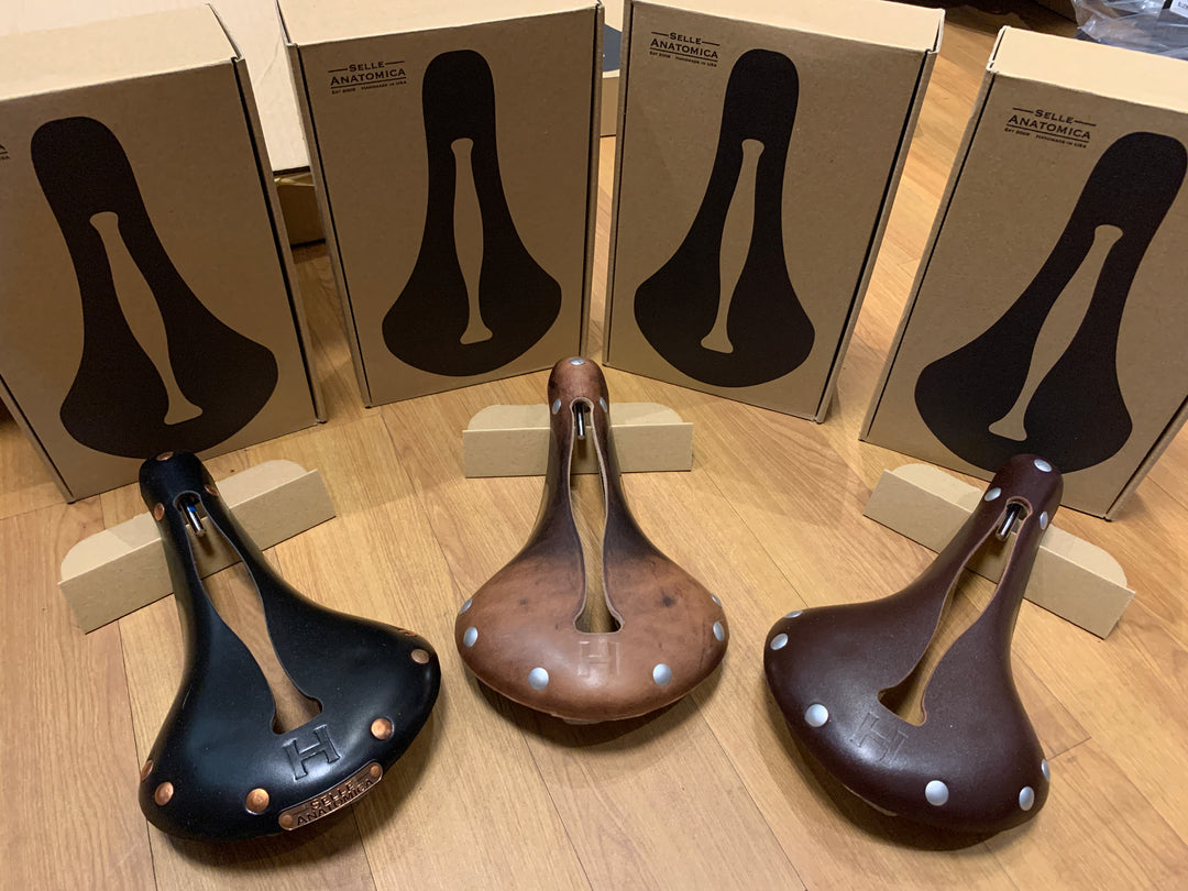 Selle Anatomica