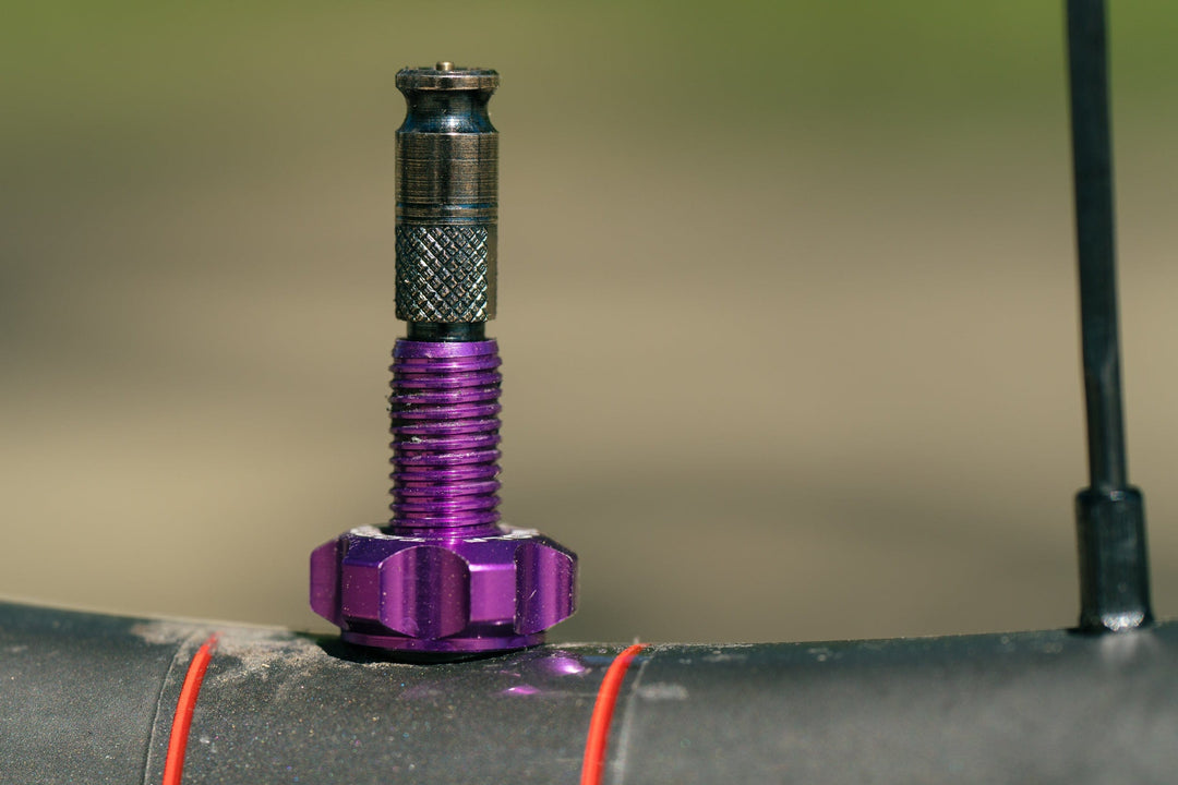 Wolf Tooth Tubeless Valve Stem Kit - CLIK VALVE