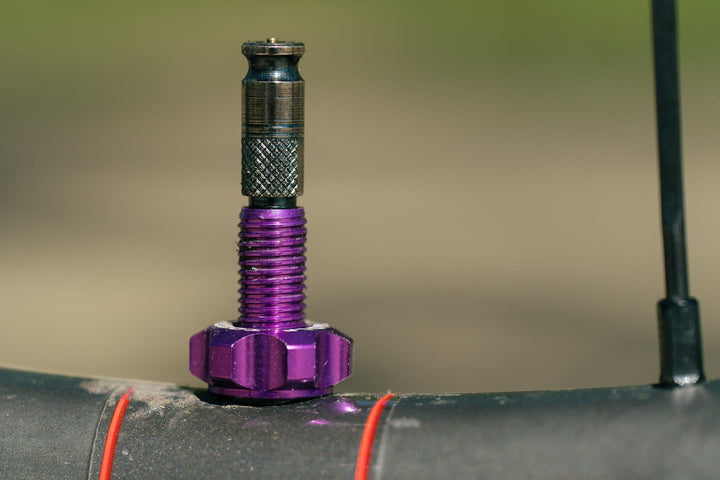Wolf Tooth Tubeless Valve Stem Kit - CLIK VALVE
