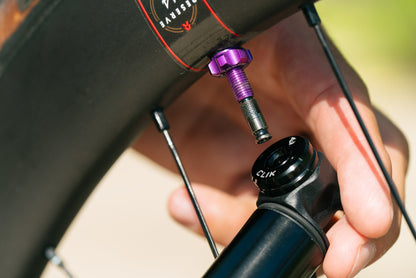 Wolf Tooth Tubeless Valve Stem Kit - CLIK VALVE
