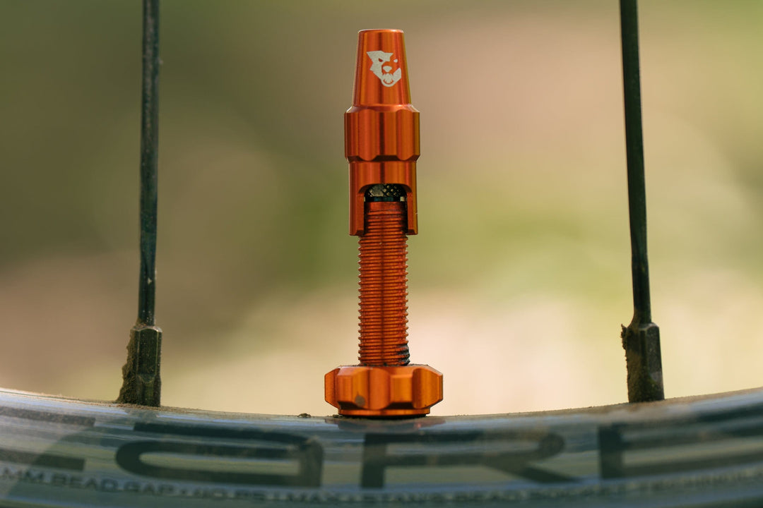Wolf Tooth Tubeless Valve Stem Kit - CLIK VALVE