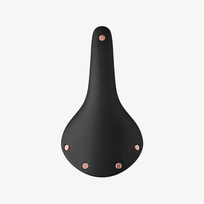 Amazon.com : Brooks England Bicycle Saddle Cambium [C17