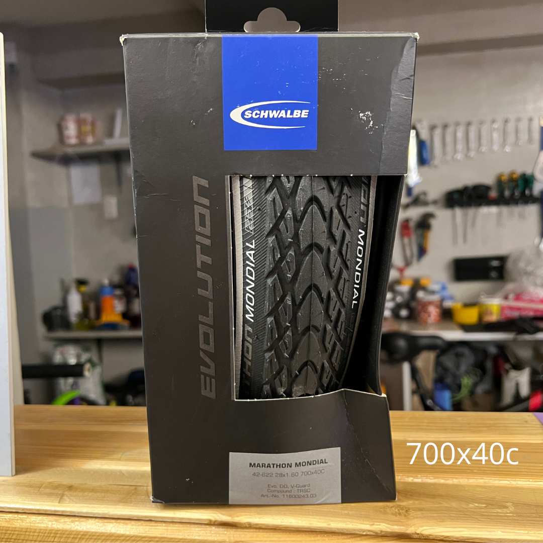 Schwalbe evolution top