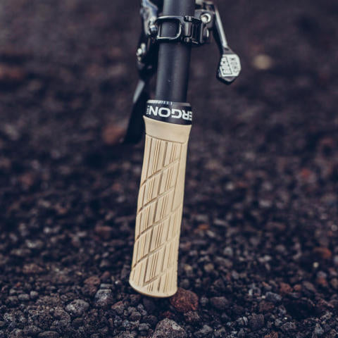 Ergon GE1 Evo MTB Grips