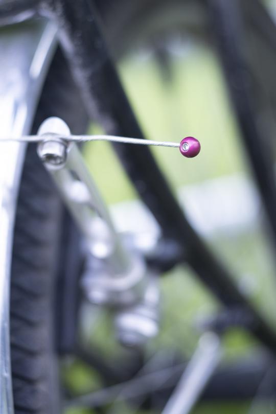 FORAGER CYCLES Cable Cherries